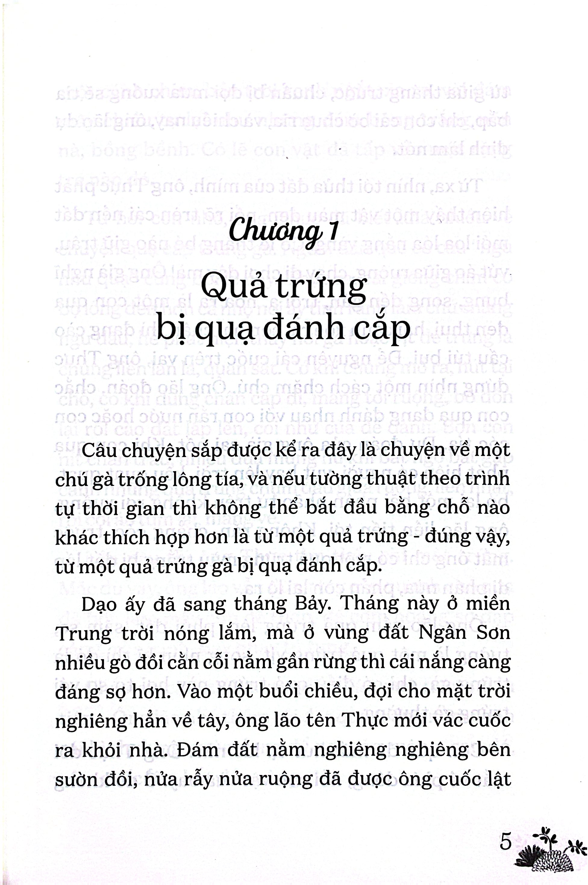 Bộ Tủ Sách Tuổi Thần Tiên - Hiệp Sĩ Gà Lông Tía - Ảnh 5