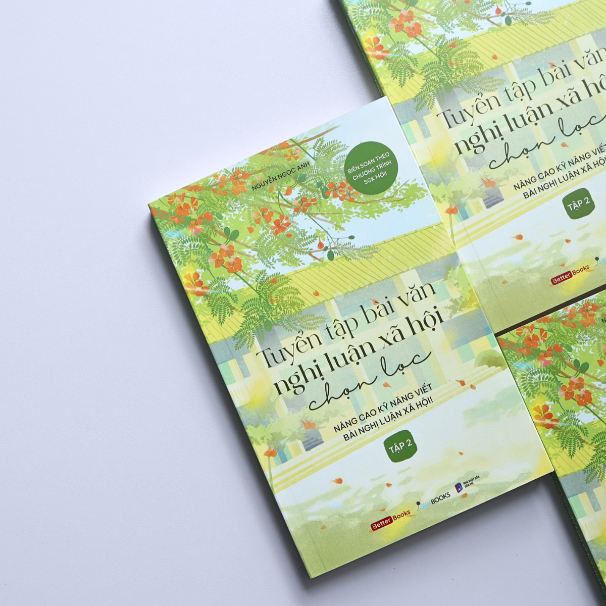 Bo
						
										
										Tuyen Tap Bai Van Nghi Luan Xa Hoi Chon Loc - Nang Cao Ky Nang Viet Bai Nghi Luan Xa Hoi - Tap 2