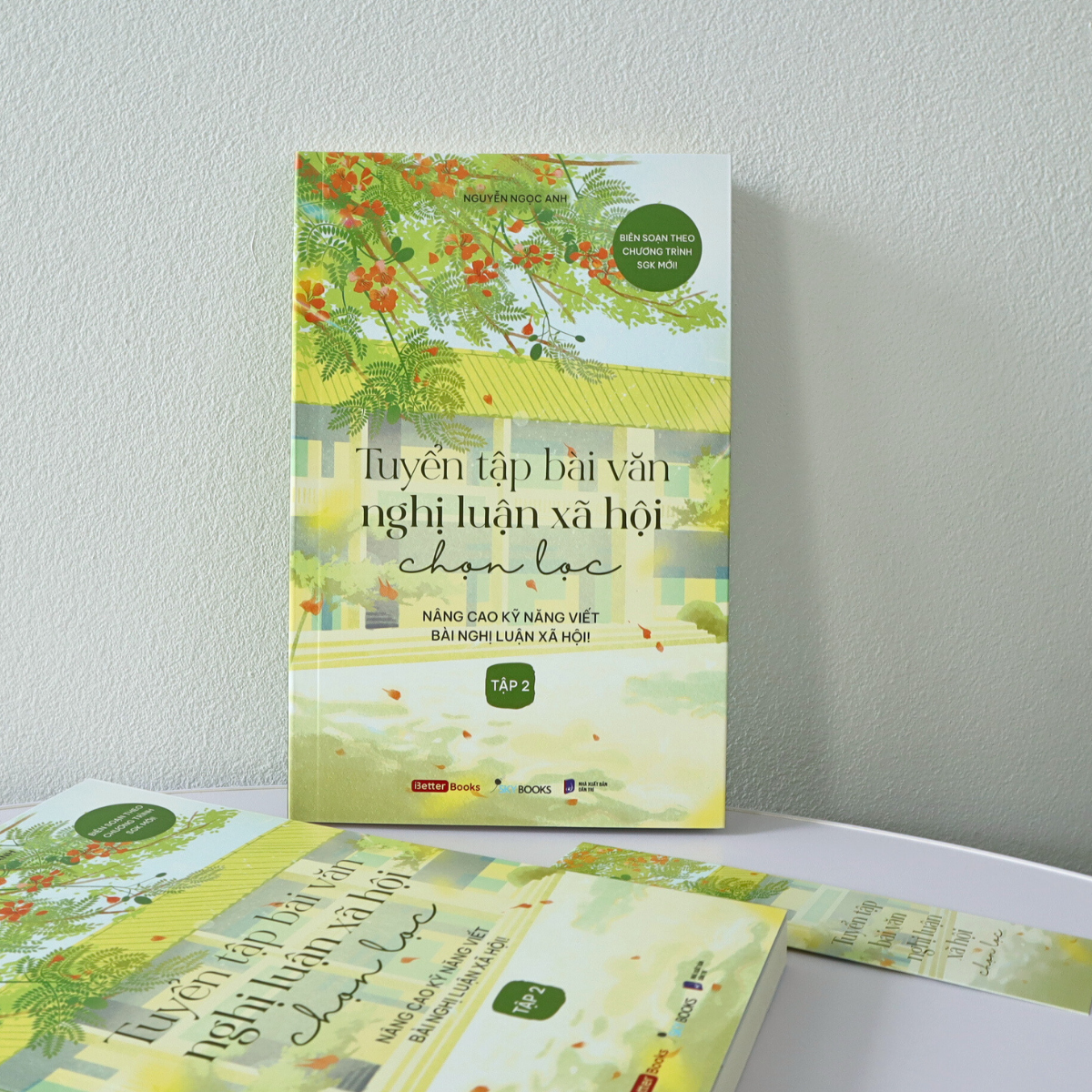 Bo
						
										
										Tuyen Tap Bai Van Nghi Luan Xa Hoi Chon Loc - Nang Cao Ky Nang Viet Bai Nghi Luan Xa Hoi - Tap 2