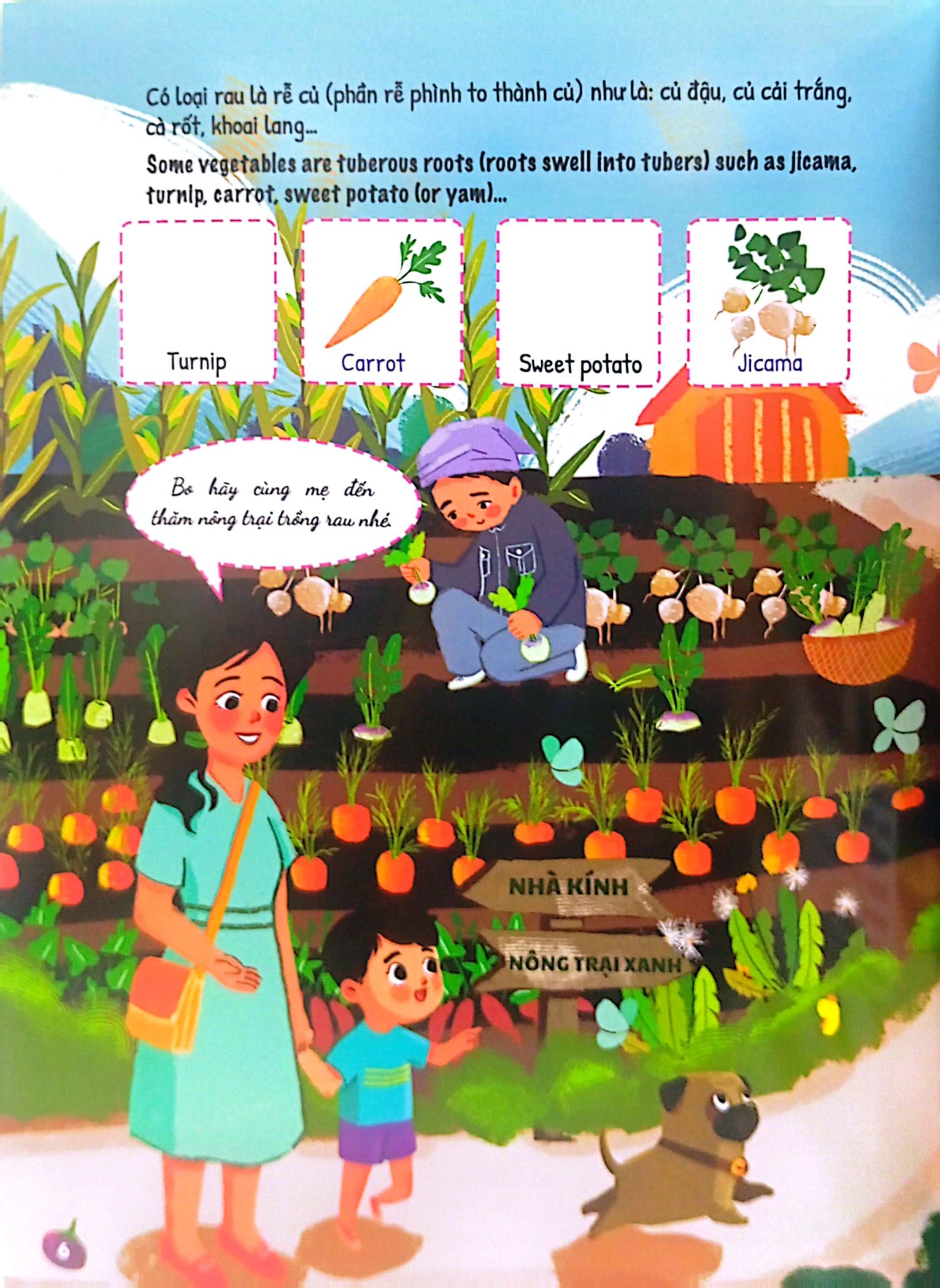 bộ ứ ừ con ghét - tập 4: hóa ra rau không đáng ghét, mẹ nhỉ?