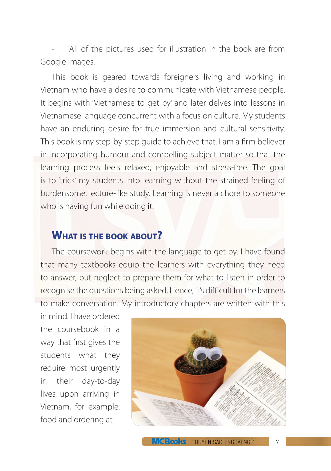 bộ useful vietnamese for expats 3