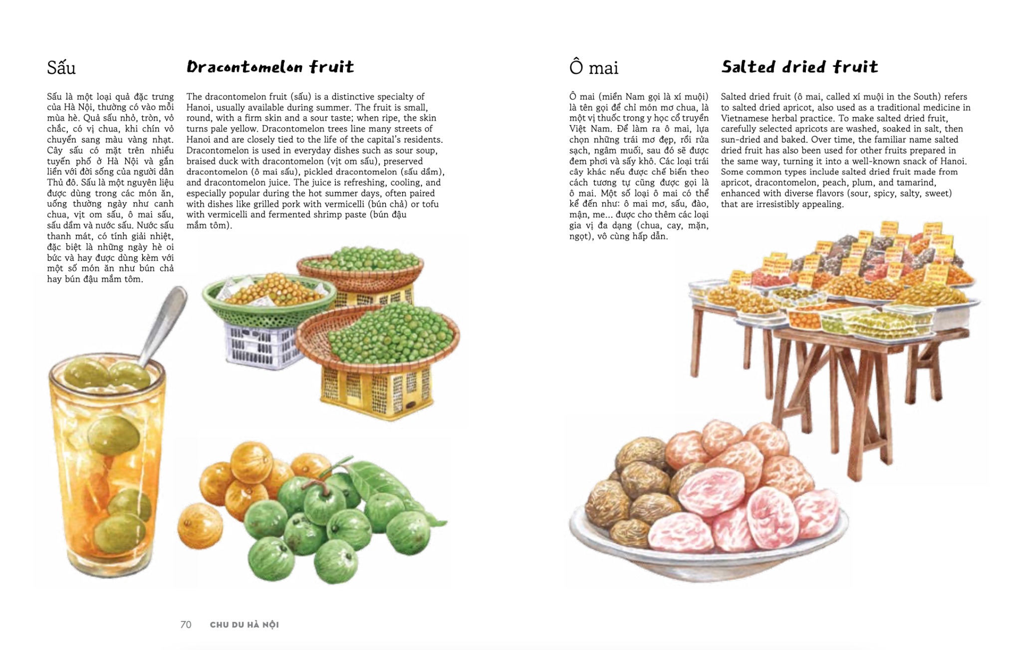 Bo
						
										
										Viet Nam Doc Mien Du Ky - Tap 3 - Chu Du Ha Noi - Explore Hanoi Through My Pages - Bia Cung