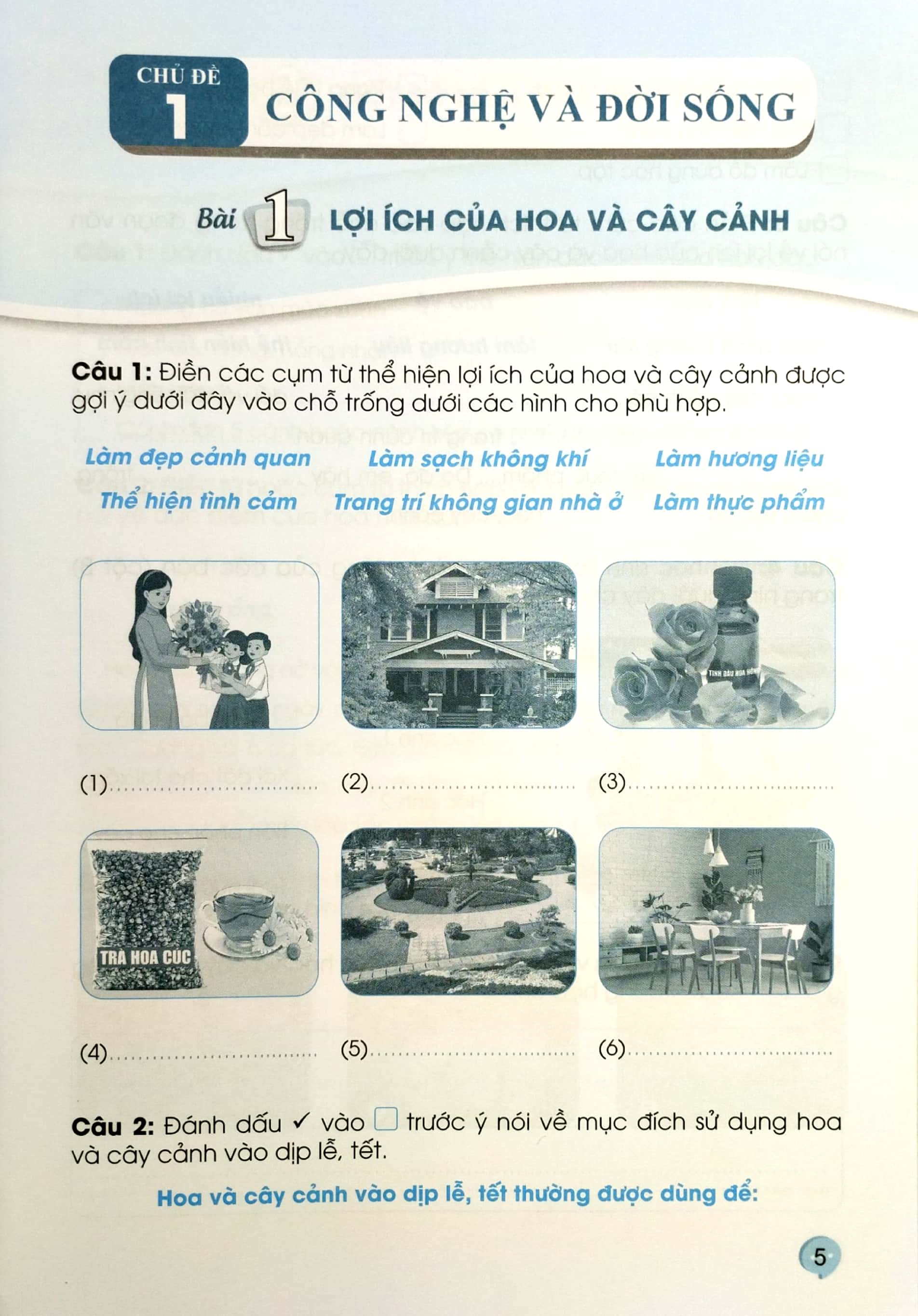 bộ vở bài tập công nghệ 4 (cánh diều) (chuẩn)