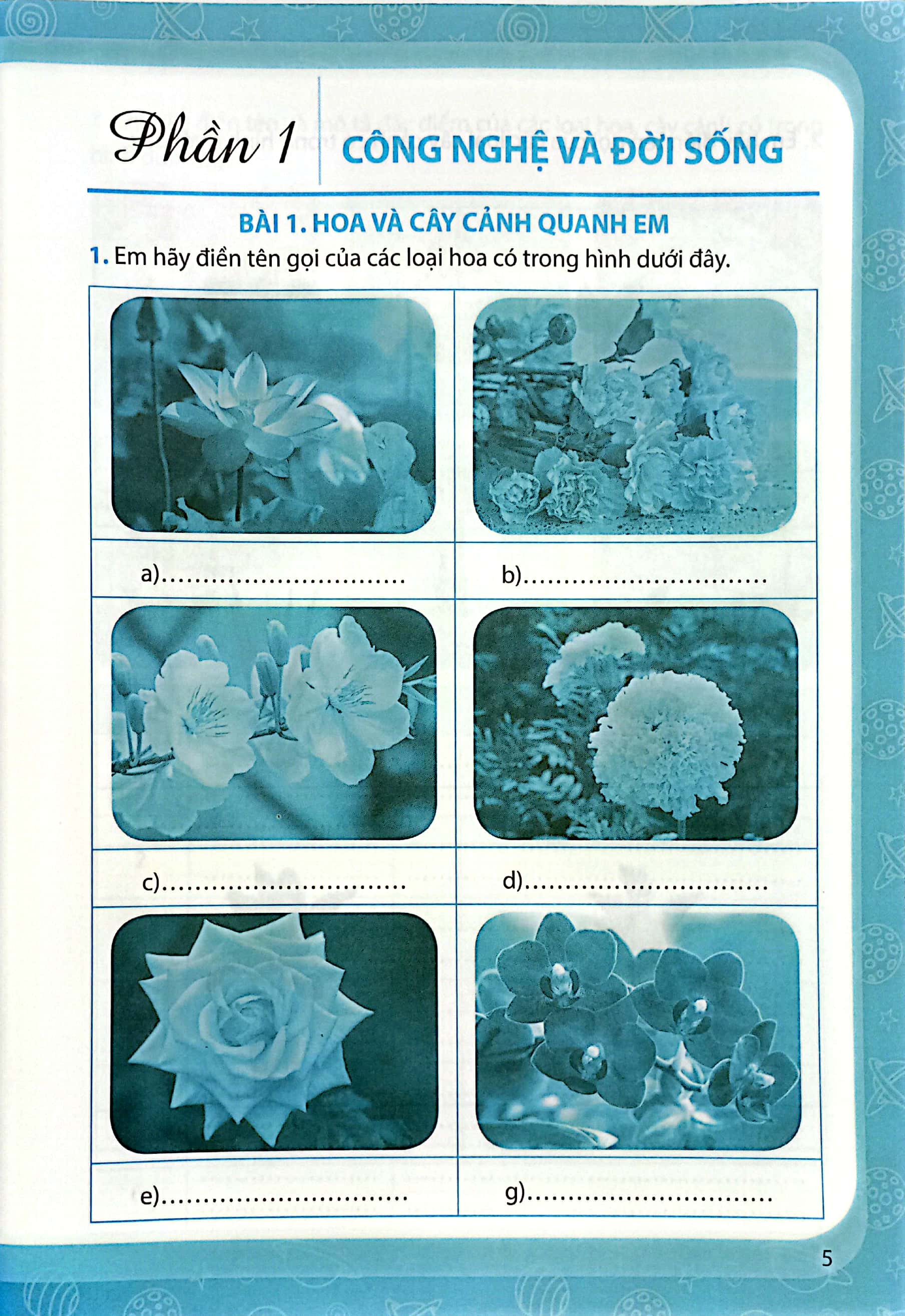 bộ vở bài tập công nghệ 4 (chân trời) (chuẩn)