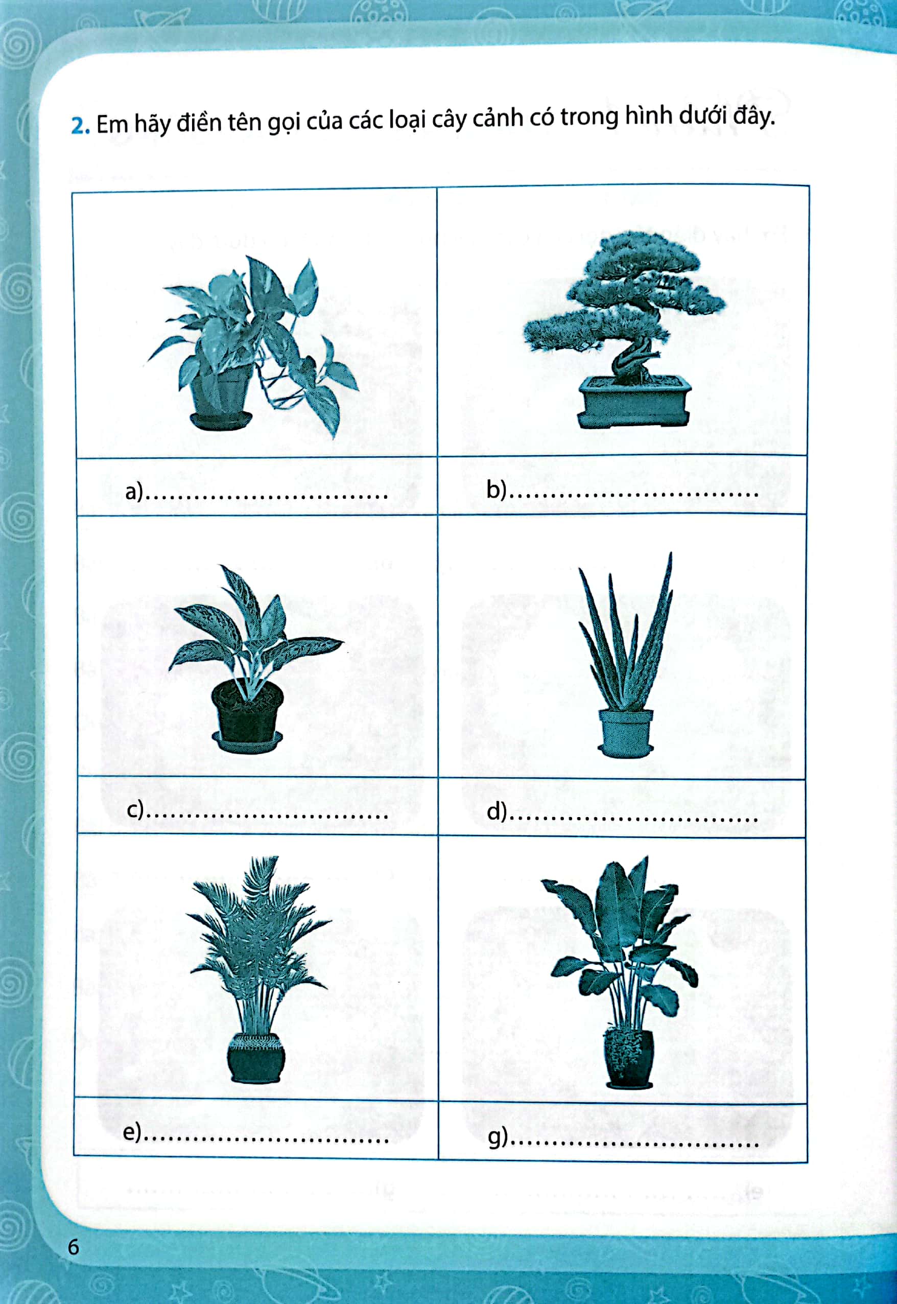 bộ vở bài tập công nghệ 4 (chân trời) (chuẩn)