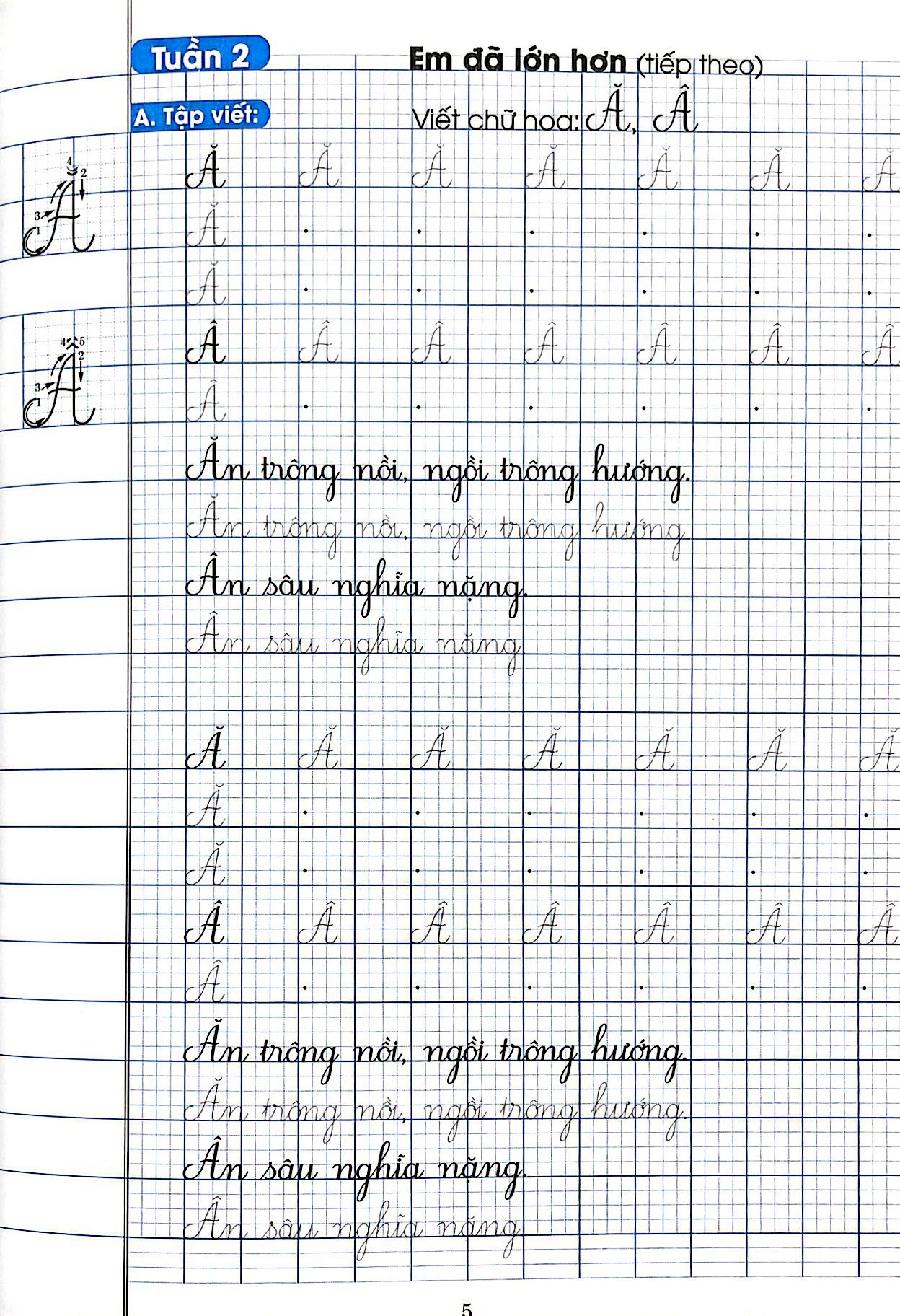 bộ vở luyện viết lớp 2 - tập 1 (chân trời sáng tạo)