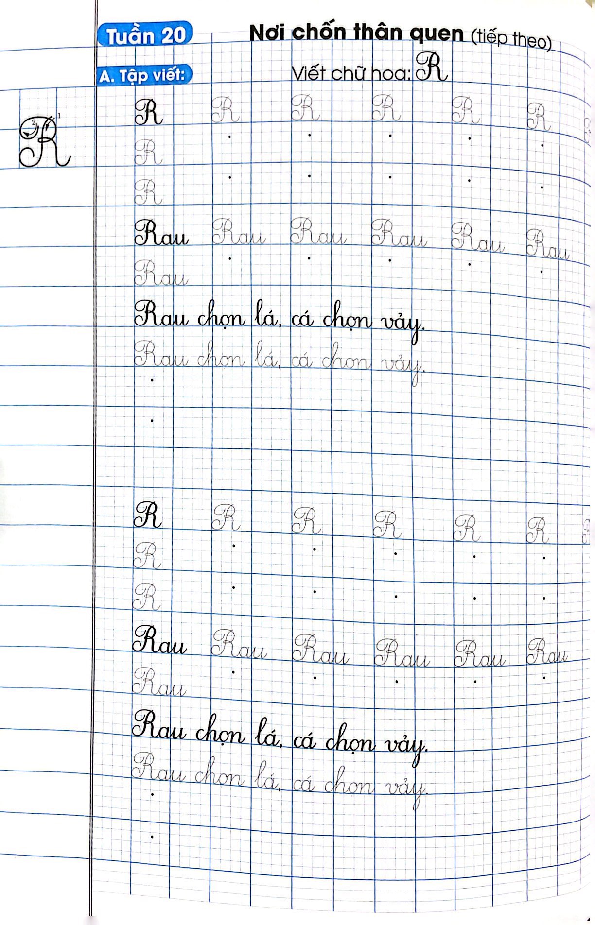 bộ vở luyện viết lớp 2 - tập 2 (chân trời sáng tạo)