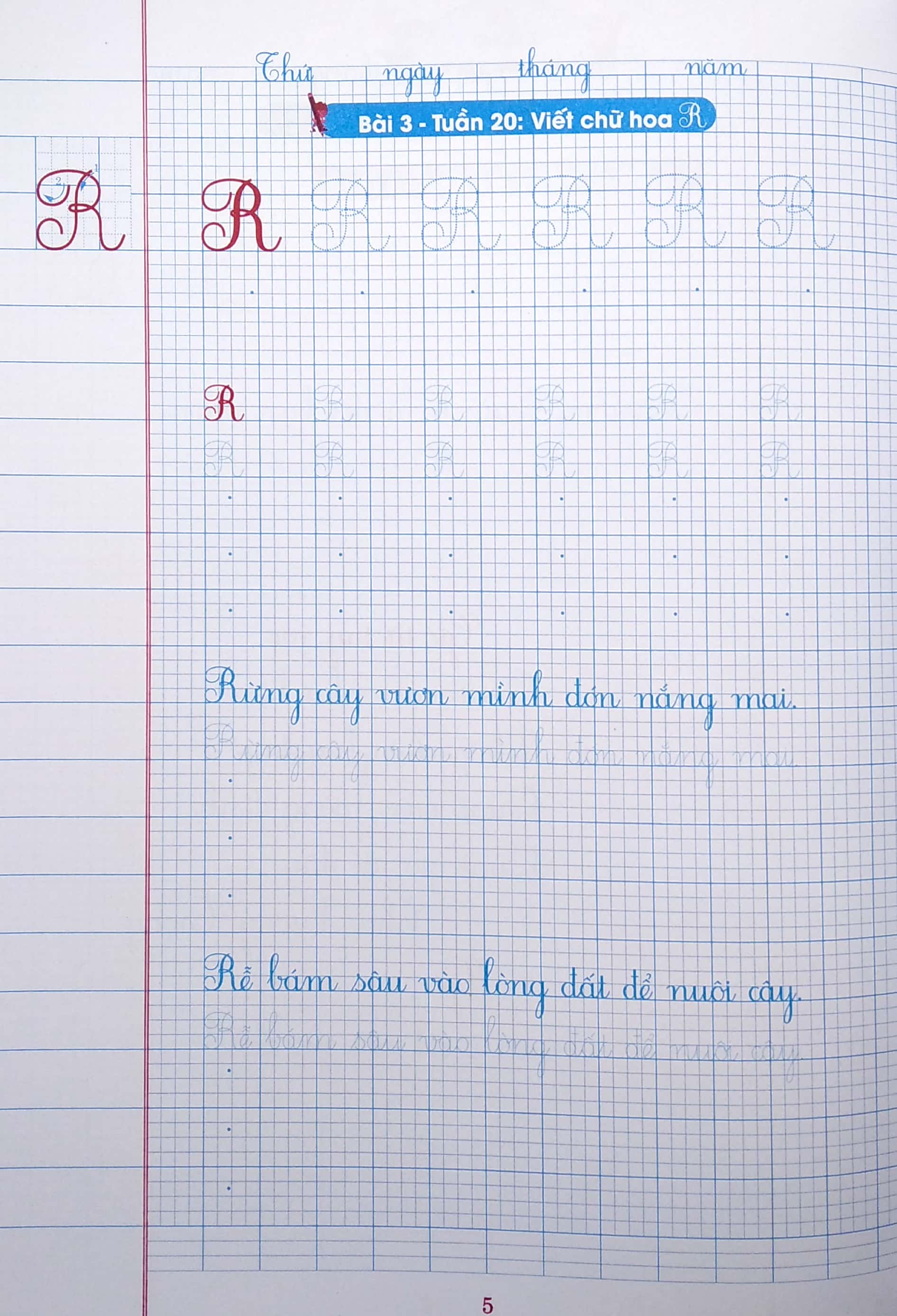 bộ vở ô li có chữ viết mẫu 2 - quyển 2 (theo kết nối tri thức với cuộc sống)