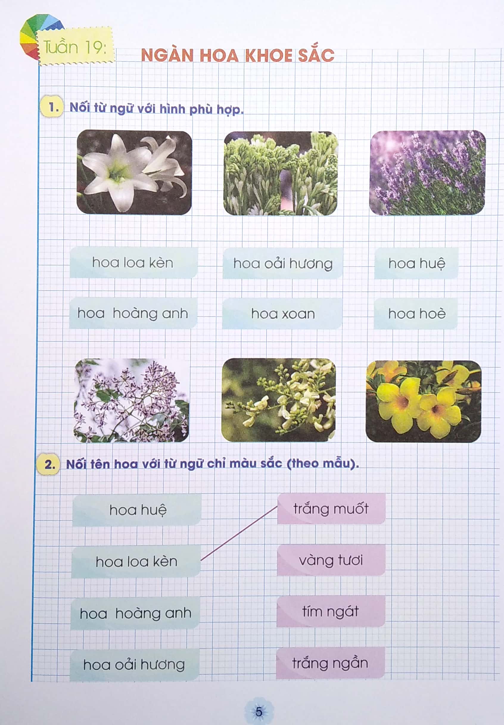bộ vui học từ và câu lớp 1 - tập 2 (bộ sách chân trời sáng tạo)