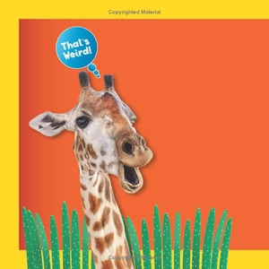 bộ weird but true! 3