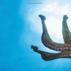 bộ weird but true! 3