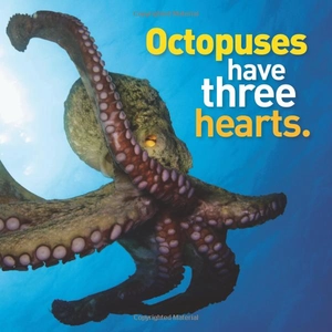 bộ weird but true! 3