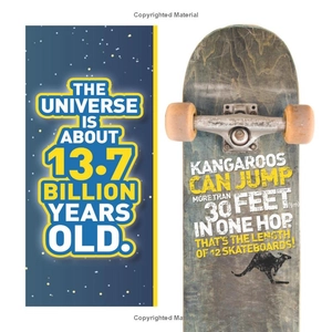 bộ weird but true! 3