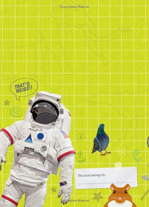 bộ weird but true! 4: wild and wacky sticker doodle book