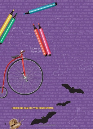 bộ weird but true! 4: wild and wacky sticker doodle book