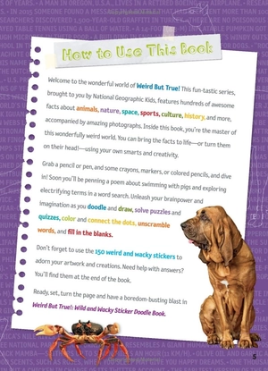 bộ weird but true! 4: wild and wacky sticker doodle book