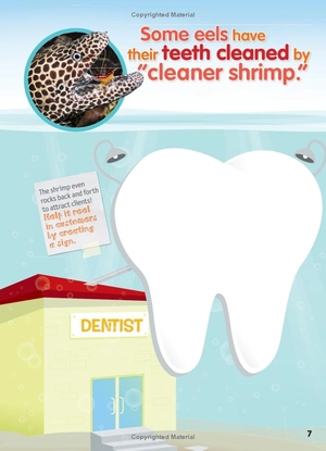 bộ weird but true! 4: wild and wacky sticker doodle book