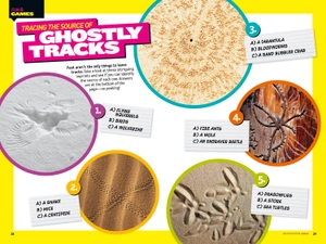 bộ weird but true!: ripped from the headlines 3: real-life stories you have to read to believe