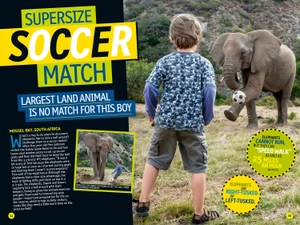 bộ weird but true!: ripped from the headlines 3: real-life stories you have to read to believe