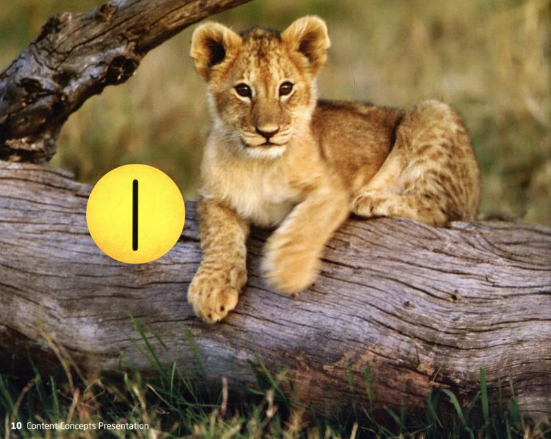 bộ welcome to our world: student book 1