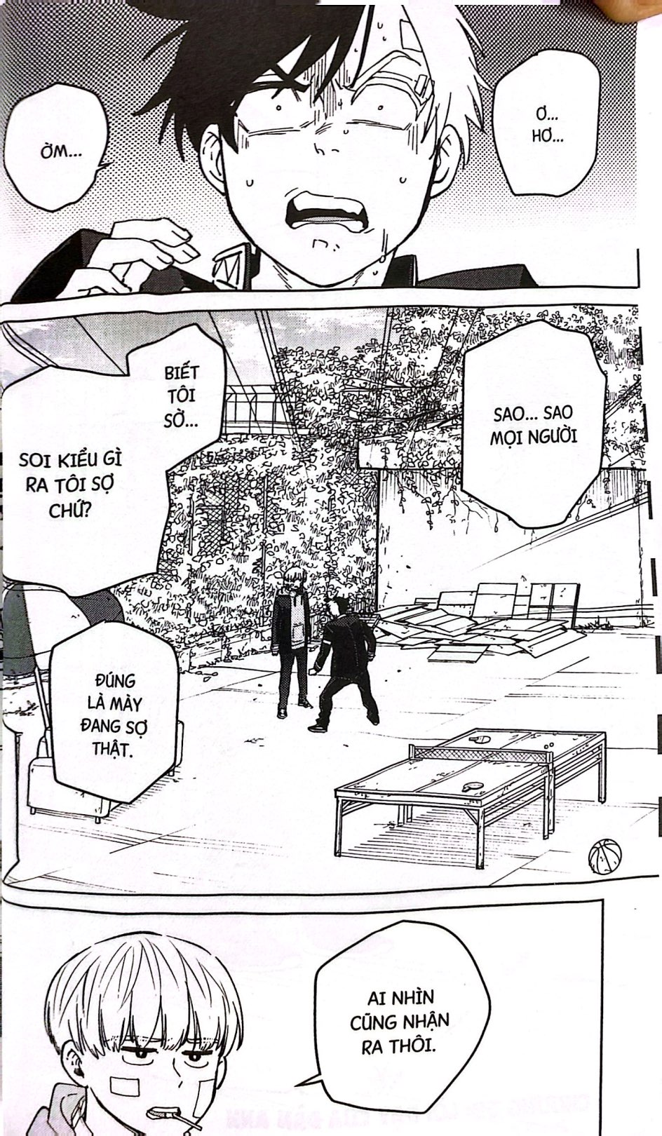 Bo
						
										
										Wind Breaker - Tap 8