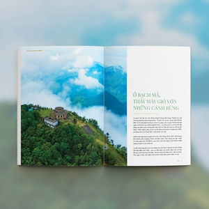 bộ wowweekend - vol 11 - ấn phẩm “xu hướng bền vững”