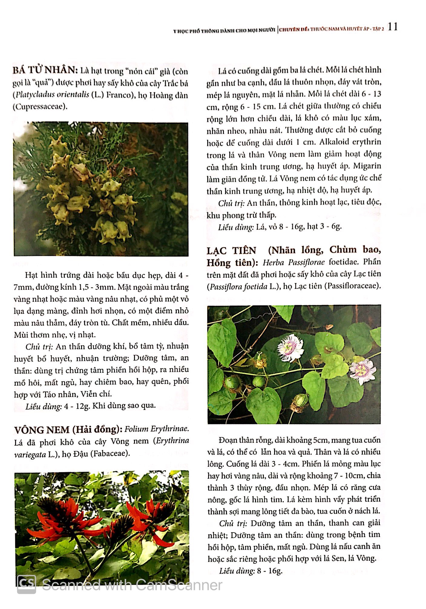 bộ y học phổ thông - thuốc nam và huyết áp (tập 2)