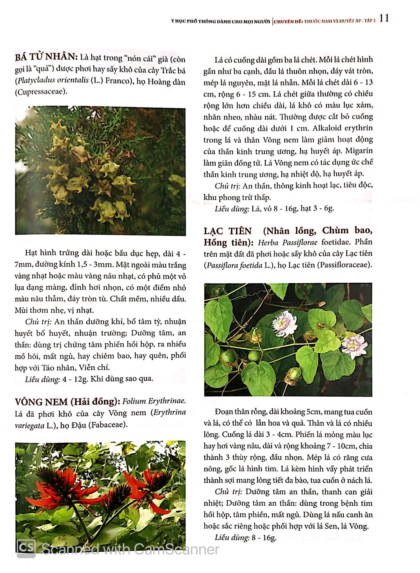 bộ y học phổ thông - thuốc nam và huyết áp (tập 2)