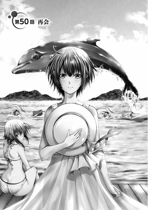 bộ ぐらんぶる 13 - grand blue 13