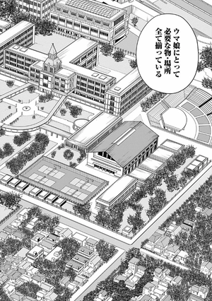 bộ ウマ娘 シンデレラグレイ3 - uma musume cinderella gray 3