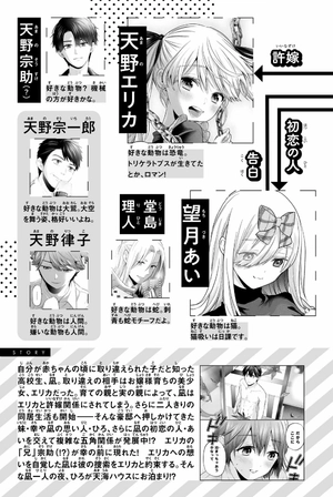 bộ カッコウの許嫁 17 - a couple of cuckoos 17