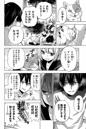 bộ カッコウの許嫁 8 - a couple of cuckoos 8