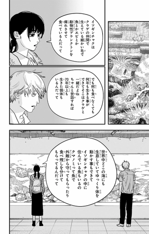 bộ チェンソーマン 14 - chainsaw man 14