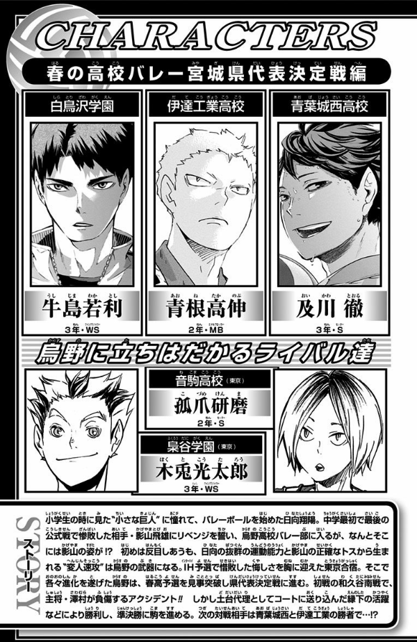 bộ ハイキュー!! 15 - haikyu!! 15