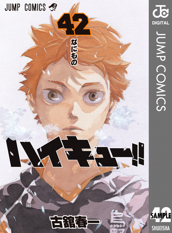 bộ ハイキュー!! 42 - haikyu!! 42