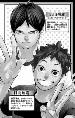 bộ ハイキュー!! 43 - haikyu!! 43