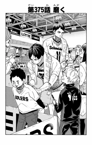 bộ ハイキュー!! 43 - haikyu!! 43
