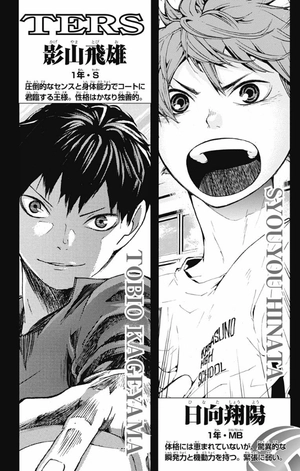 bộ ハイキュー!! 6 - haikyu!! 6