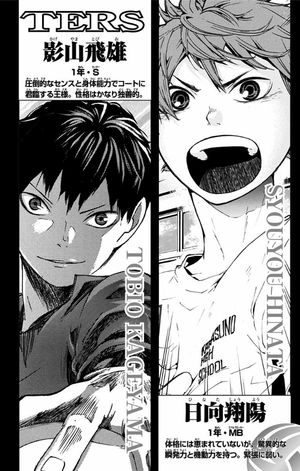 bộ ハイキュー!! 7 - haikyu!! 7