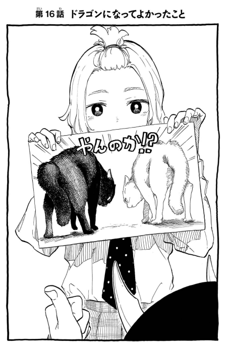 Bo
						
										
										ルリドラゴン - Ruri Dragon 3