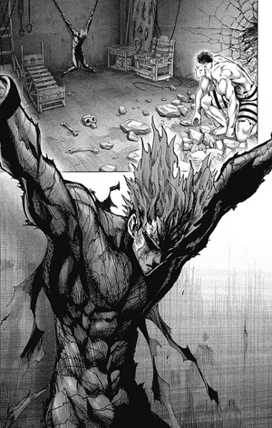 bộ ワンパンマン 25 - one punch man 25