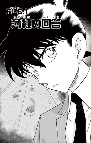 bộ 名探偵コナン 95 - detective conan 95