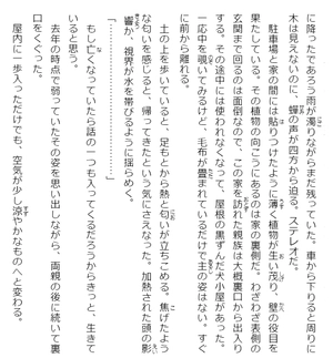 bộ 安達としまむら 6 - adachi to shimamura 6 (light novel)