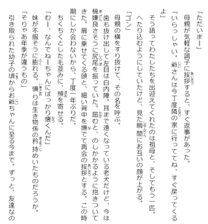 bộ 安達としまむら 6 - adachi to shimamura 6 (light novel)