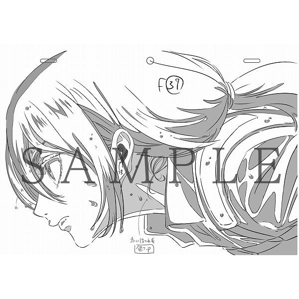 Bo
						
										
										進擊の巨人 立體機動線畵集 -今井有文-2 - Shingeki No Kyojin Rittai Kidou Senga Taka-Imai Abun 2