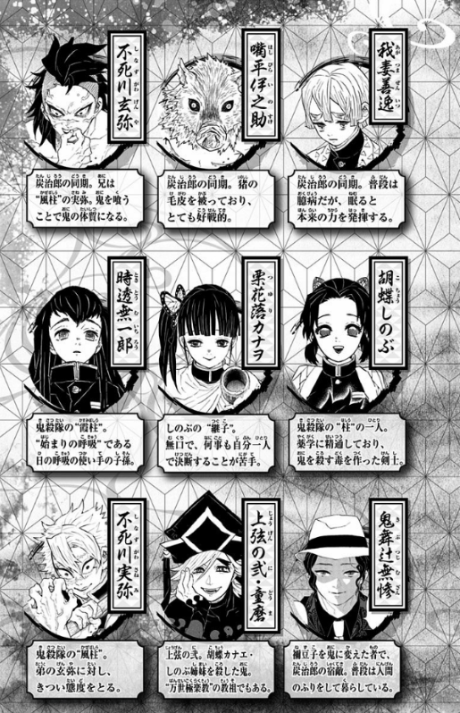 bộ 鬼滅の刃 19 (ジャンプコミックス) (日本語) kimetsu no yaiba 19