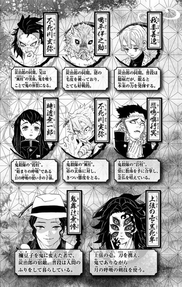 bộ 鬼滅の刃 20 : ジャンプコミックス - kimetsu no yaiba tsuujouban 20