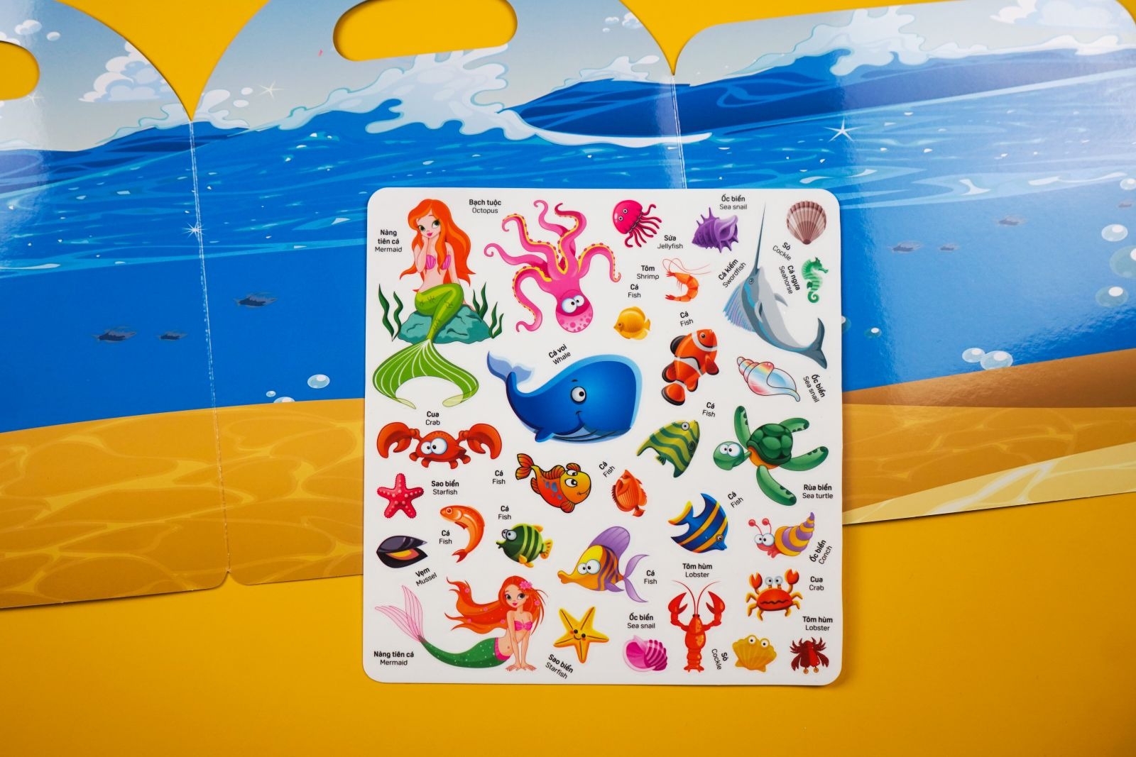 Boc Dan Su Dung Nhieu Lan - Tham Hiem Dai Duong