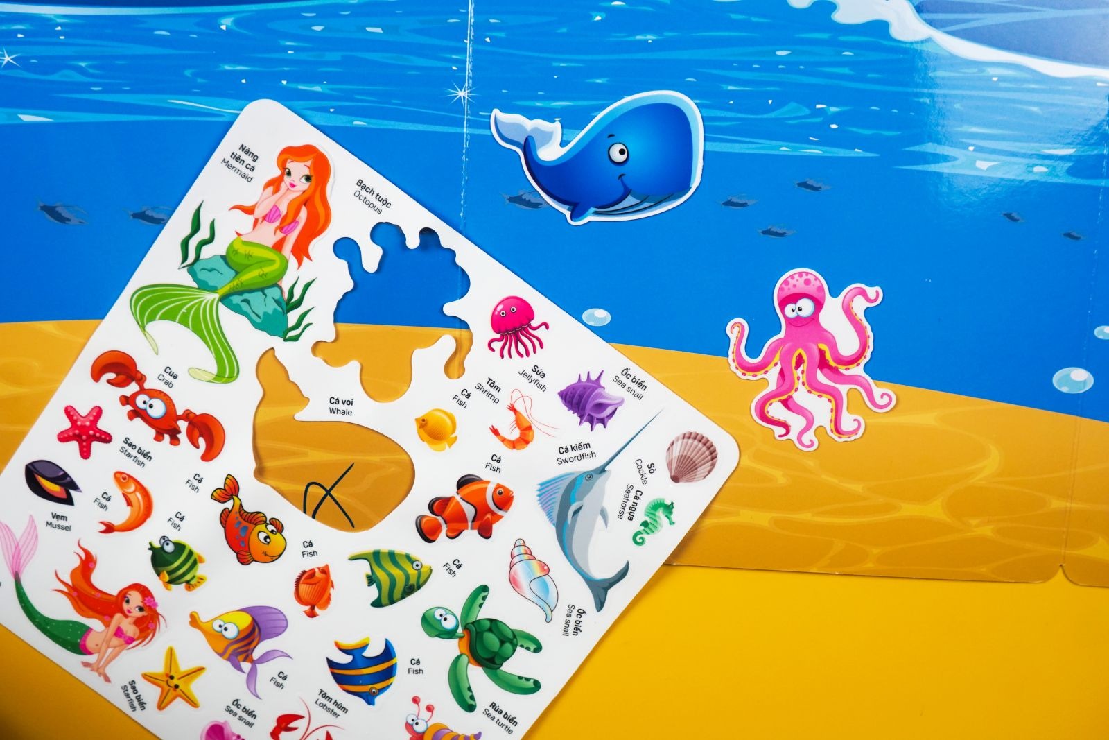 Boc Dan Su Dung Nhieu Lan - Tham Hiem Dai Duong