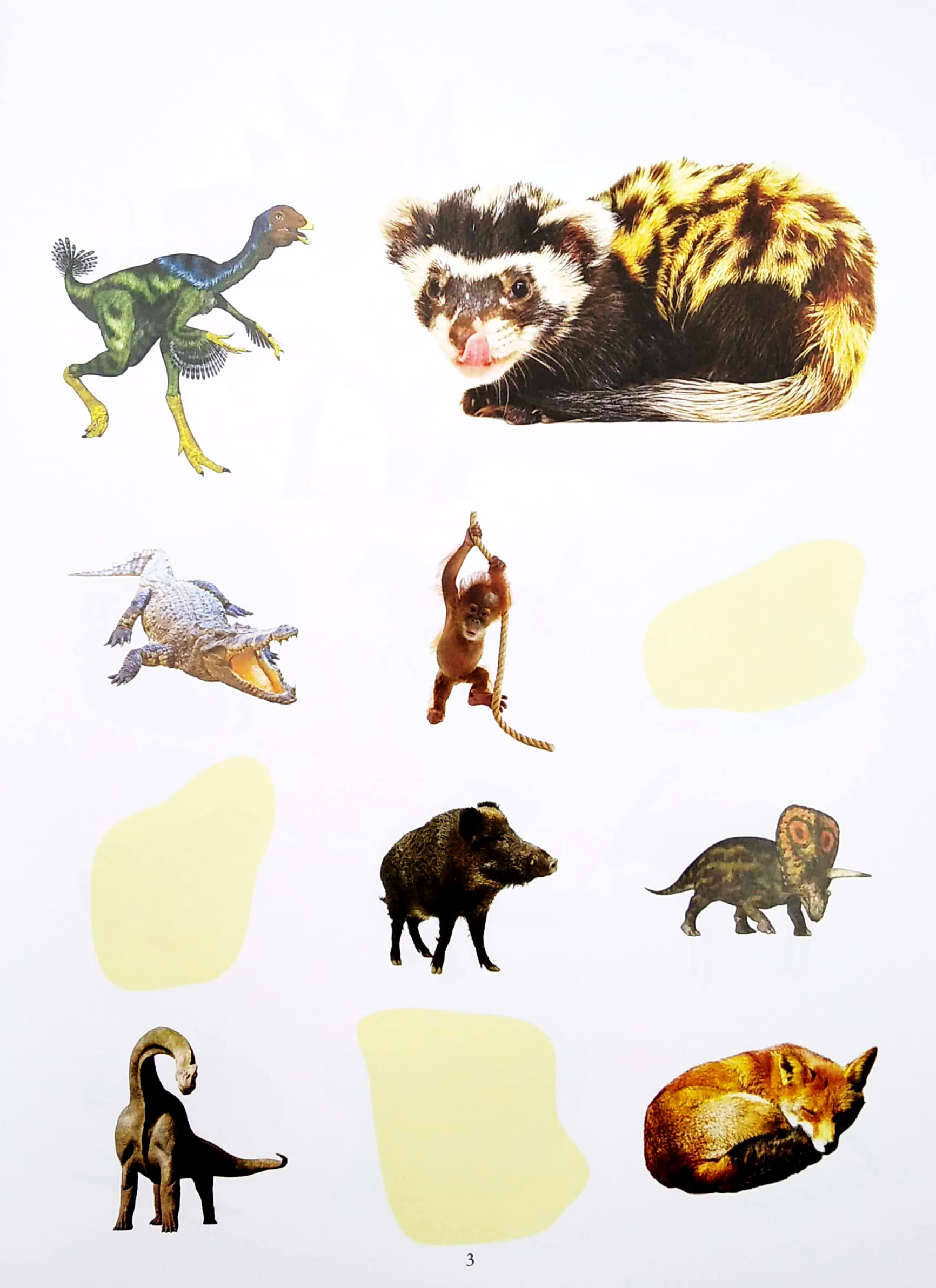 bóc dán thông minh - khủng long và động vật hoang dã (tái bản 2022)